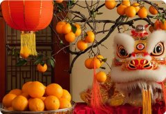 新年賀詞 | 筑夢(mèng)未來，在這里展翅騰飛